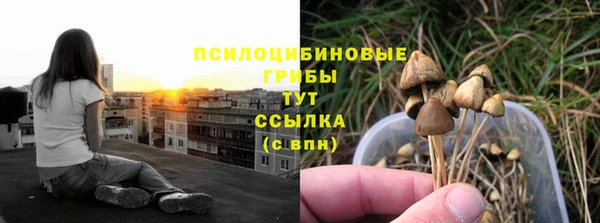 дмт Михайлов
