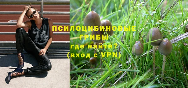 ГАЛЛЮЦИНОГЕННЫЕ ГРИБЫ Михайловка