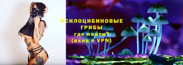 ГАЛЛЮЦИНОГЕННЫЕ ГРИБЫ Михайловка