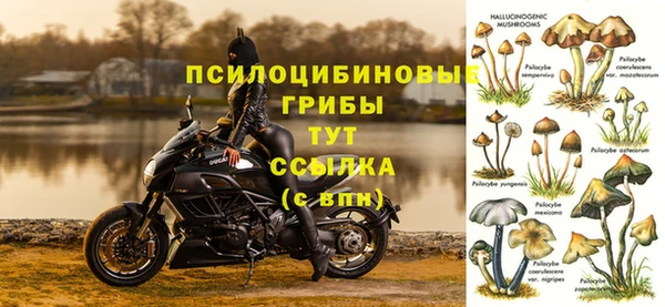a pvp Ачинск