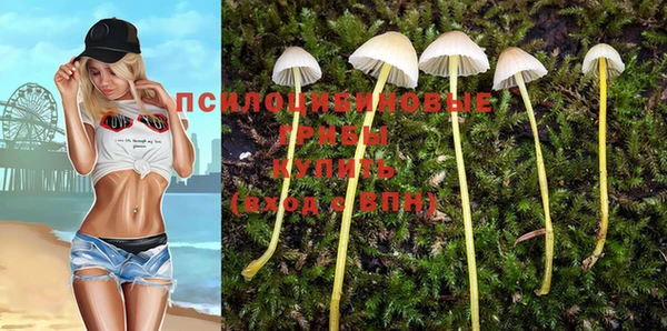 МДМА Медвежьегорск