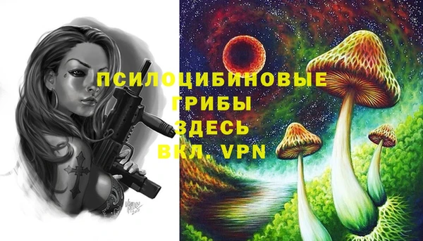амф Михайловск