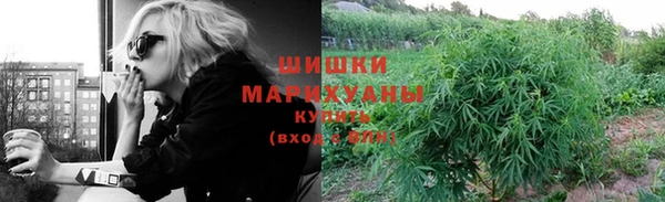 дмт Михайлов