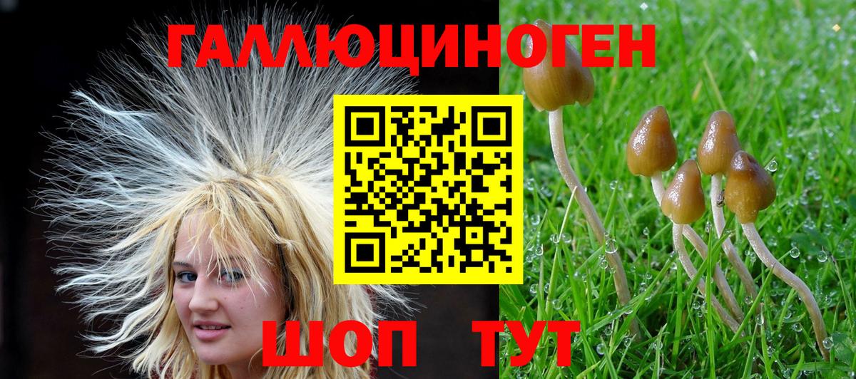 Галлюциногенные грибы MAGIC MUSHROOMS  Мурино  Галлюциногенные грибы GOLDEN TEACHER 