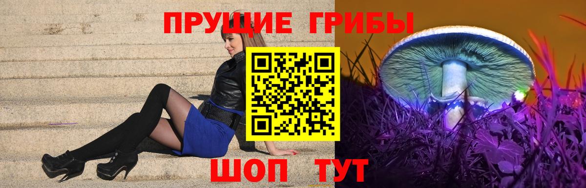 Псилоцибиновые грибы Magic Shrooms Мурино