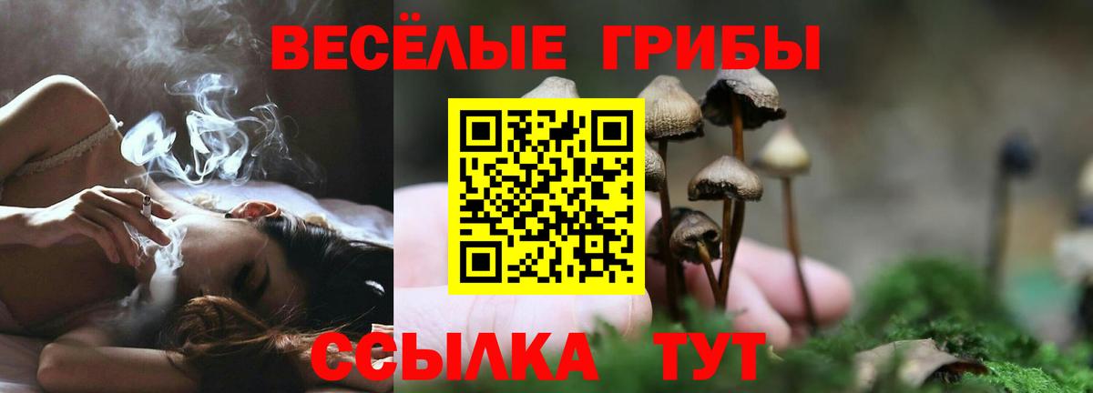 Галлюциногенные грибы мицелий  Вход с VPN  Мурино 